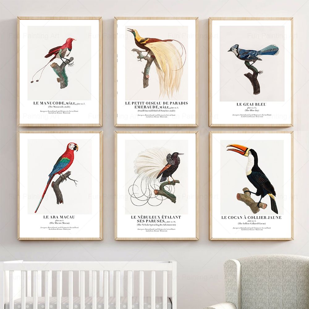 Vintage Paradise Bird Wall Art - Furniture Paradise & Hardware Ghaziabad recension och pris