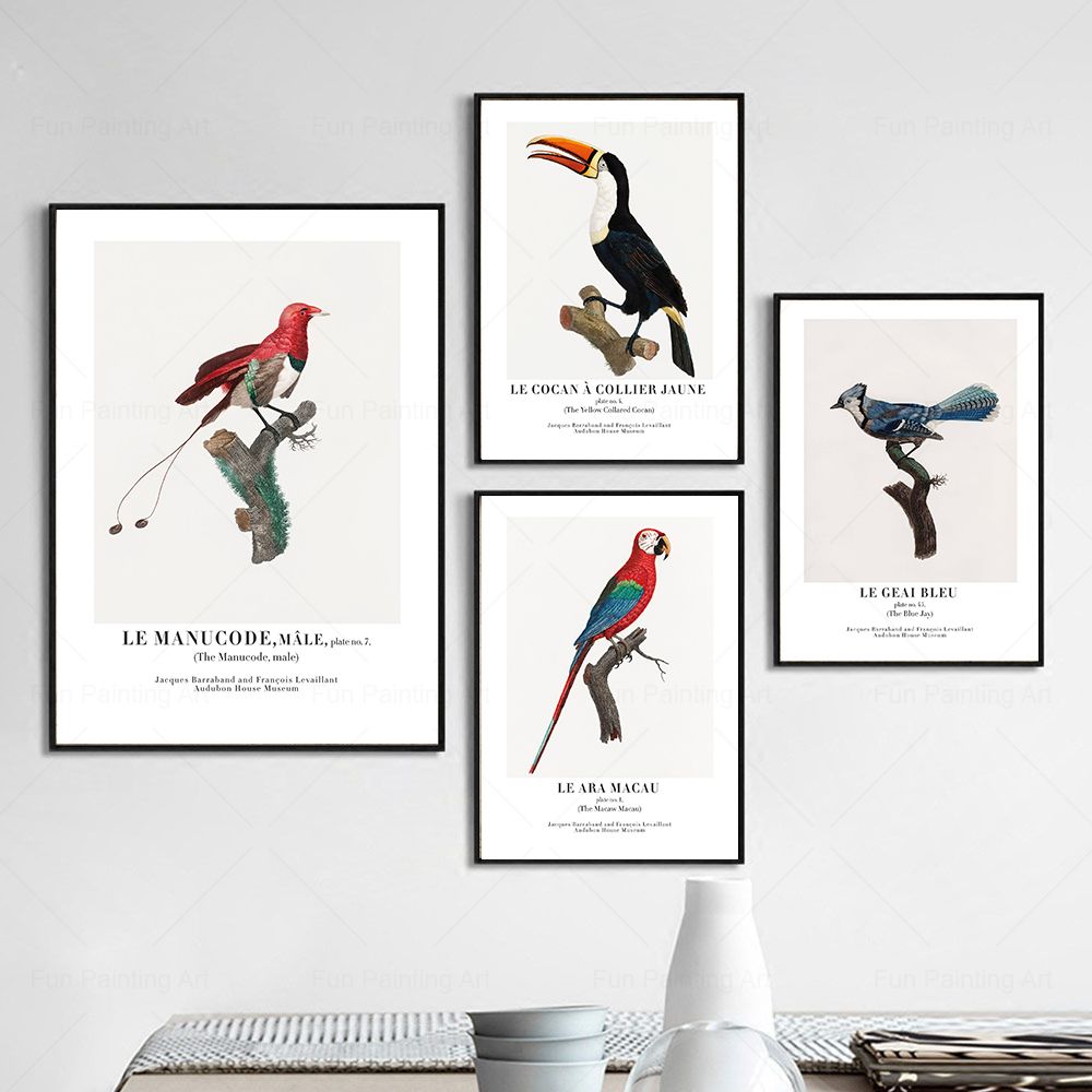 Vintage Paradise Bird Wall Art - Furniture Paradise & Hardware Ghaziabad recension och pris