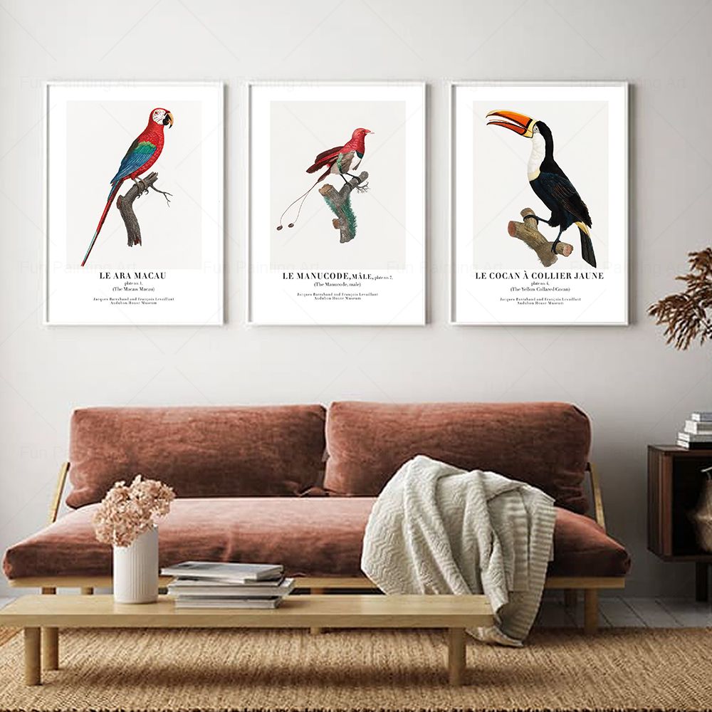 Vintage Paradise Bird Wall Art - Furniture Paradise & Hardware Ghaziabad recension och pris
