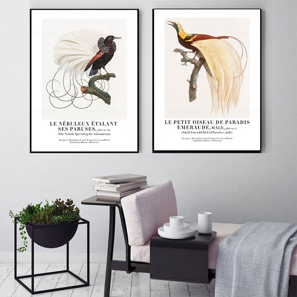 Vintage Paradise Bird Wall Art - Furniture Paradise & Hardware Ghaziabad recension och pris