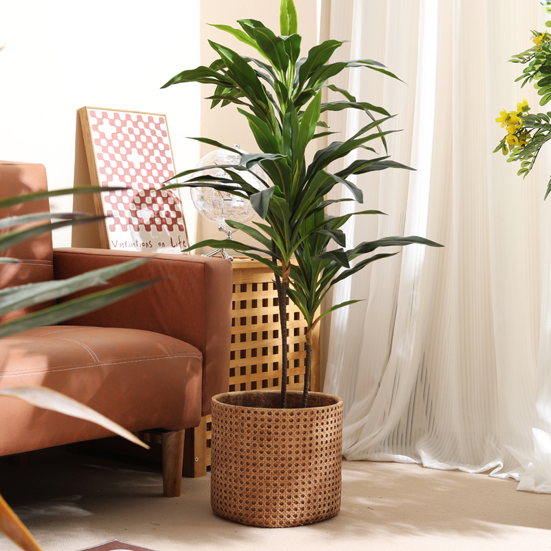 Furniture for small-sized apar - Furniture Paradise & Hardware Ghaziabad recension och pris
