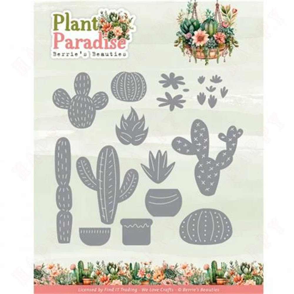 Plant Cactus Paradise Metal Cr - Furniture Paradise & Hardware Ghaziabad recension och pris